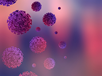 HPV人類乳突病毒感染怎麼辦？會有什麼症狀？HPV人類乳突病毒治療方法全解析