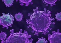 尖頭濕疣是什麼？從HPV感染到「肉疣」：你該知道的症狀、風險與治療方式