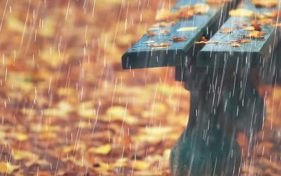 夏季熱對流旺盛雨彈大舉入侵 鼻過敏患者難招架