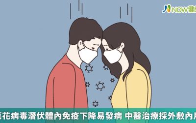 菜花病毒潛伏體內免疫下降易發病 中醫治療採外敷內用