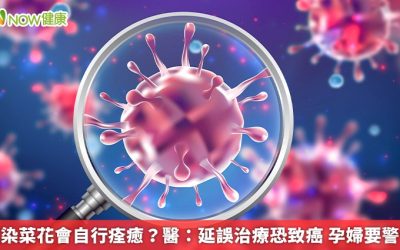 感染菜花會自行痊癒？醫：延誤治療恐致癌 孕婦要警惕
