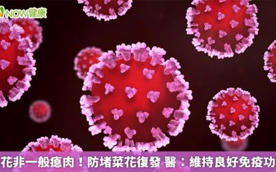 菜花非一般瘜肉！防堵菜花復發 醫：維持良好免疫功能